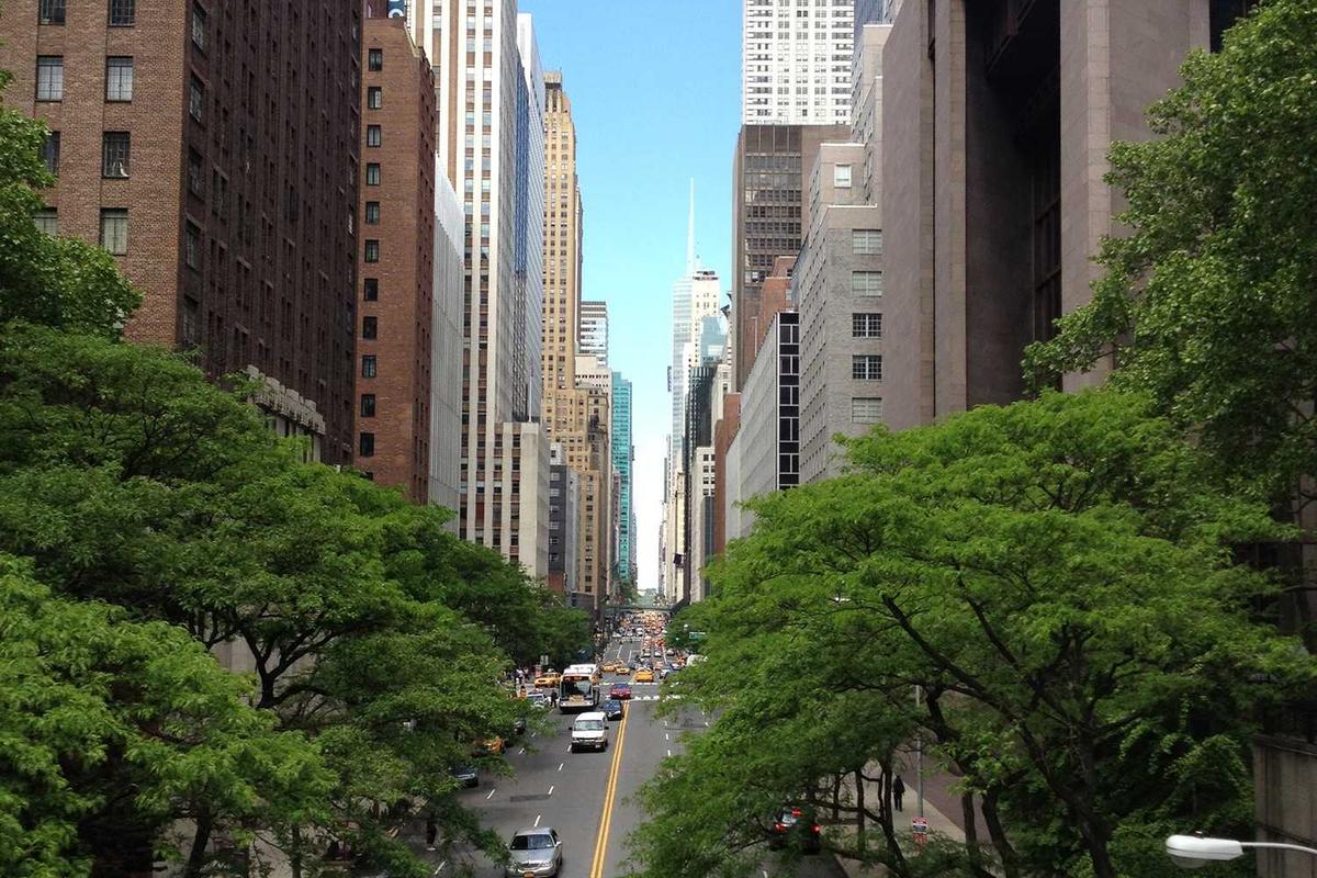 Resmi Dibuka, Doss Megastore Jadi Surga Fotografi&Videografi Terluas di Asia Tenggara