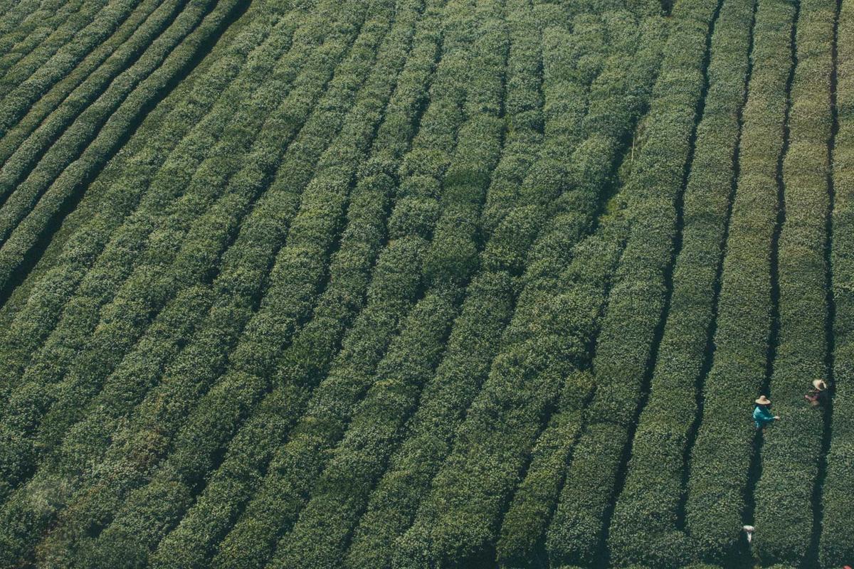 Dukung Industri Kreatif, DOSS Camera & Gadget Buka Cabang di Kemang