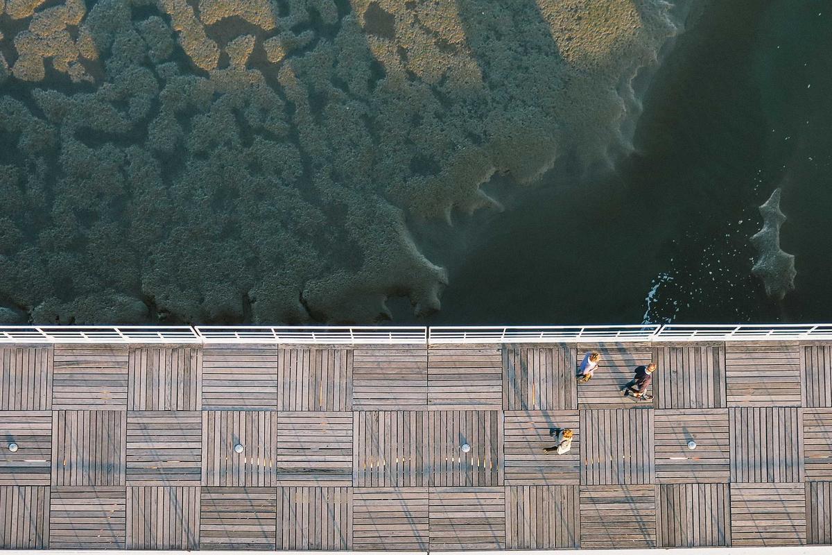 Fotografi S25 Edge, Ini Panduan Pengambilan Gambar