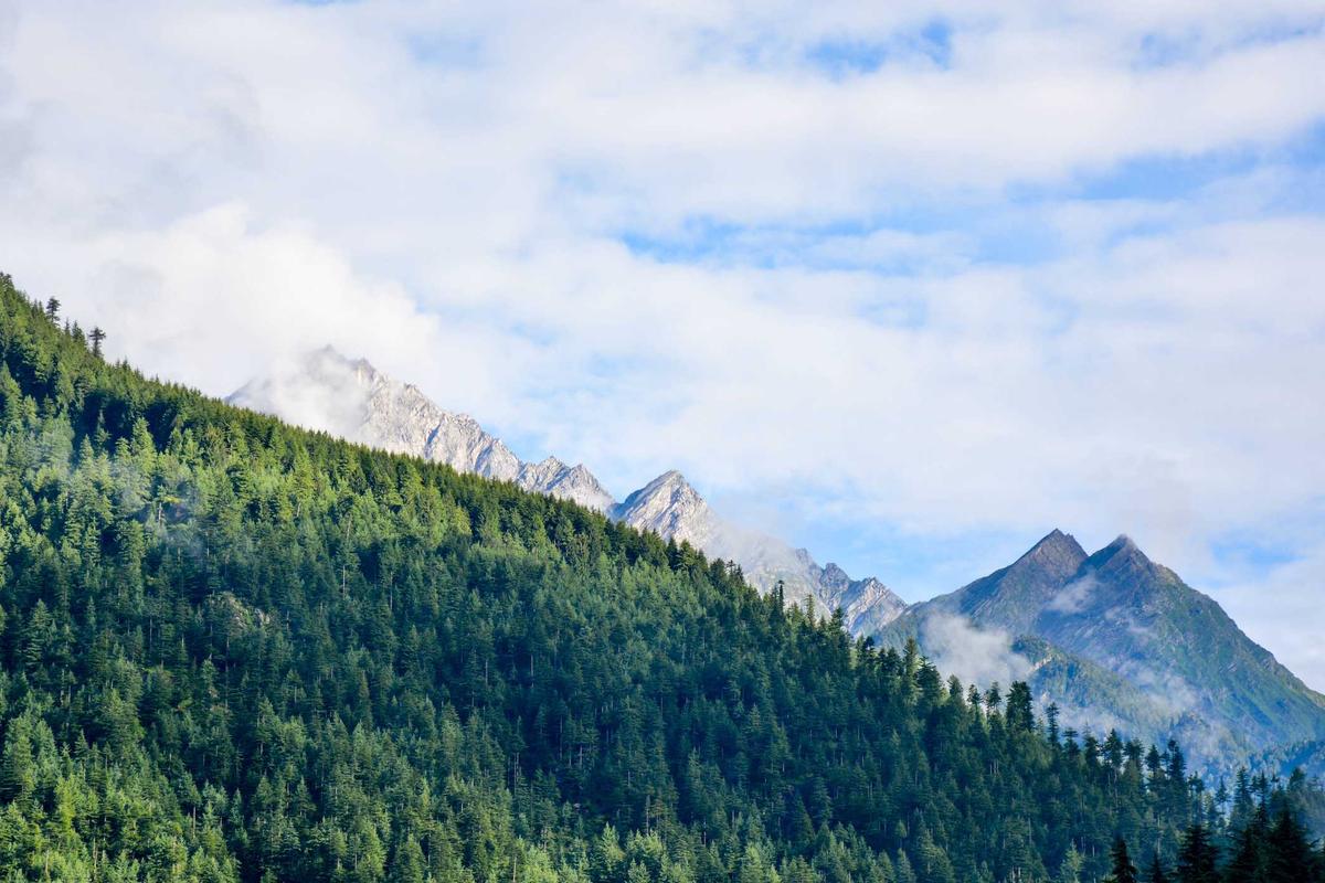 Redmi Note 13 Pro+ 5G: Jagoan Fotografi di Saku Kamu? Yuk, Kupas Tuntas Kelebihan & Kekurangannya! – sumeksradio.disway.id