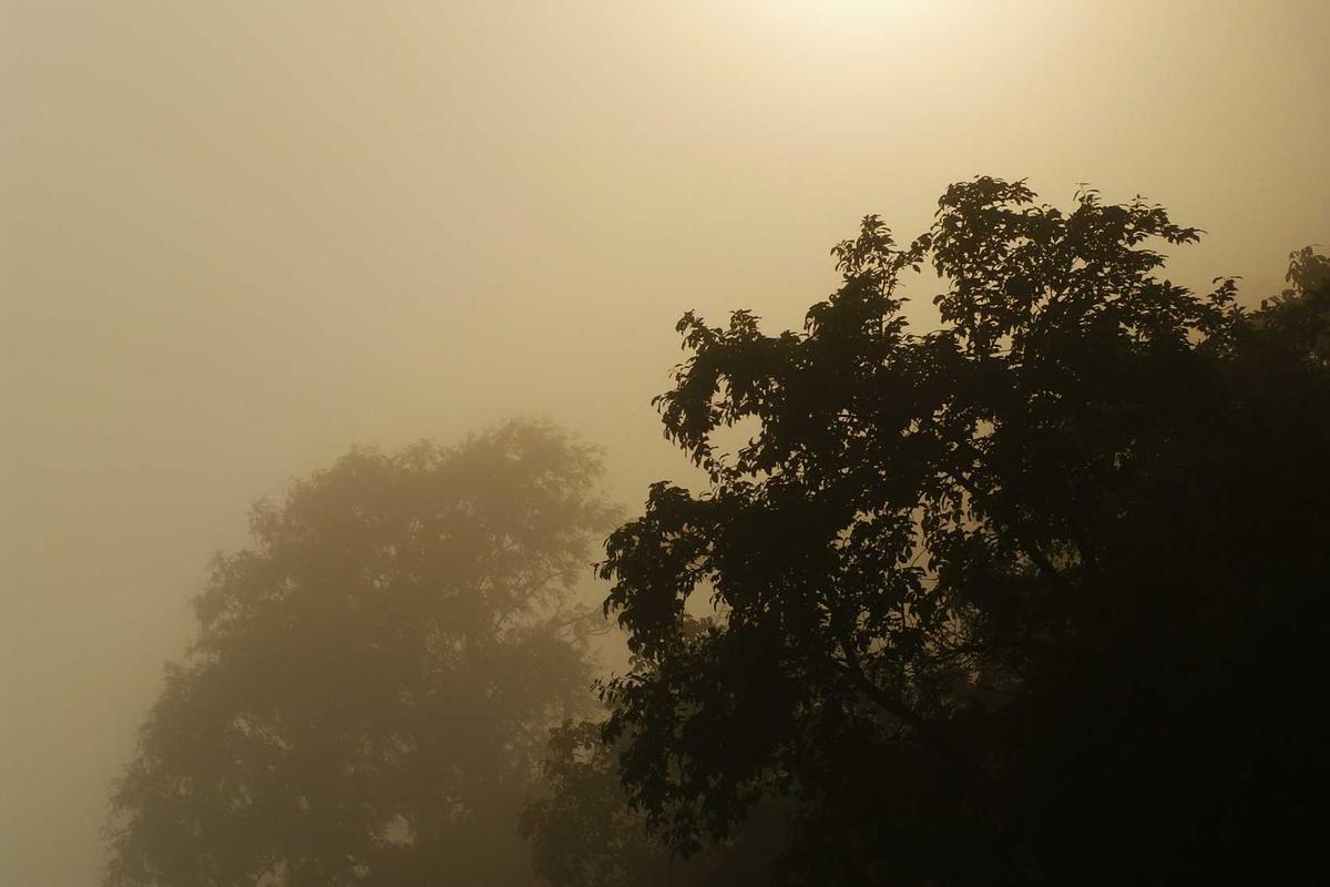 Redmi Note 13 Pro+ 5G: Jagoan Fotografi di Saku Kamu? Yuk, Kupas Tuntas Kelebihan & Kekurangannya! – sumeksradio.disway.id