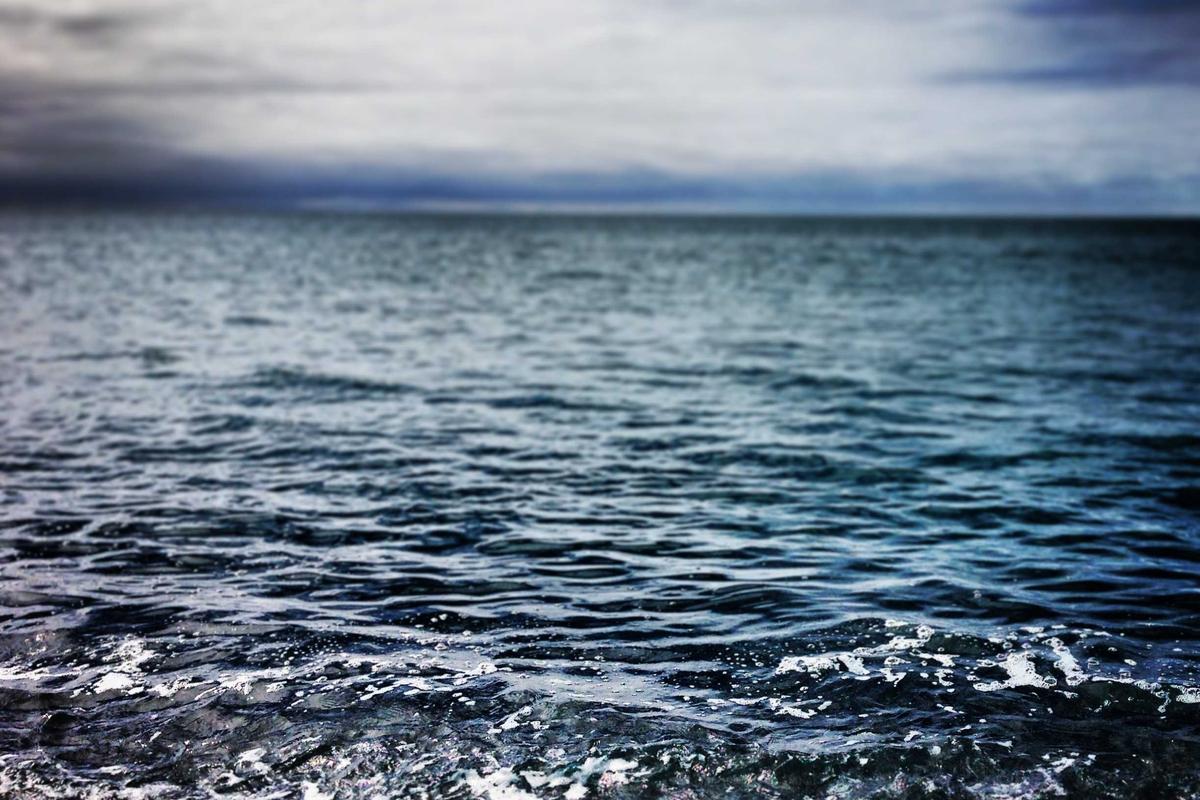 Motorola Signature Resmi Dirilis di Indonesia, Bawa “Gold Standard Fotografi”