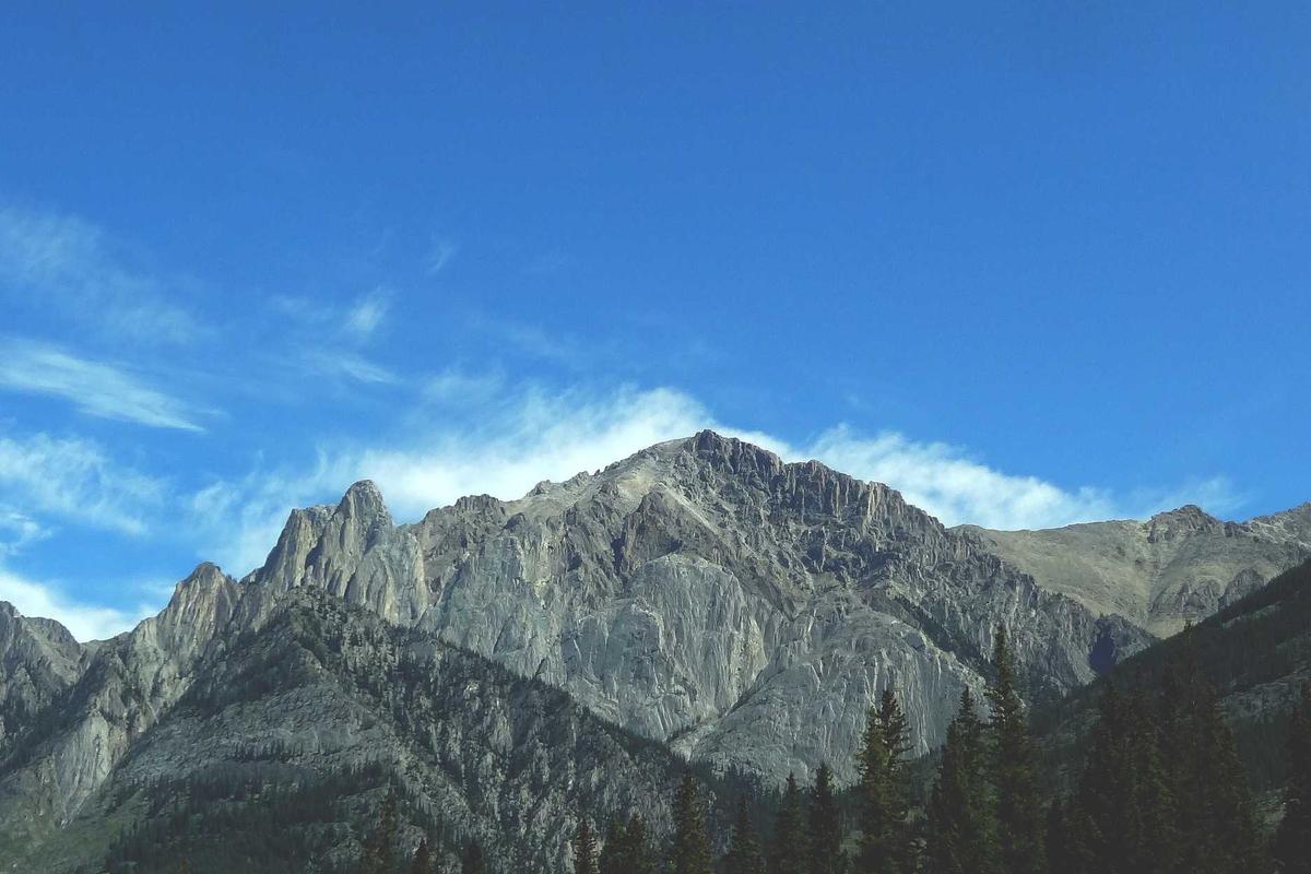 Bukan Cuma X300 Ultra, Vivo Bagikan Fitur Fotografi ‘Pro’ Ke Seri Lama!